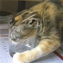 ���� Nfiso, �������, 43 ���� - ��������� 1 ������� 2015 � ������ ���� ����������