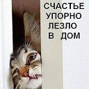  ,  -  31  2015