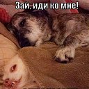 ���� ������, �����-��������� - ��������� 10 ������� 2015 � ������ ������ ��������