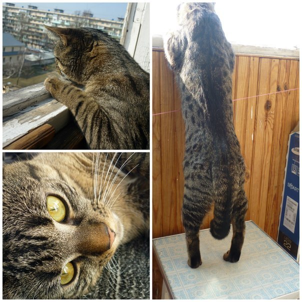  :3
