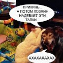 ���� ����, �������, 44 ���� - ��������� 13 ����� 2015 � ������ ������ ��������