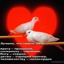 ���� ����, ��������, 49 ��� - ��������� 15 ������ 2015 � ������ ������ ��������