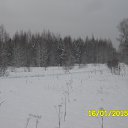 ���� ��������, �������, 53 ���� - ��������� 24 ������� 2015 � ������ ������ ��������