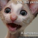 ���� �������, �����������, 42 ���� - ��������� 1 ������� 2015 � ������ ���� ����������