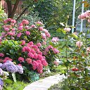 ���� �������, ������, 51 ��� - ��������� 22 ������� 2015 � ������ ���� ������