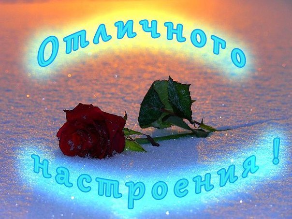  - 16  2014  08:41