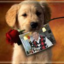 ��� ������! �� ������� ���� ����������