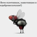  , - -  13  2015    