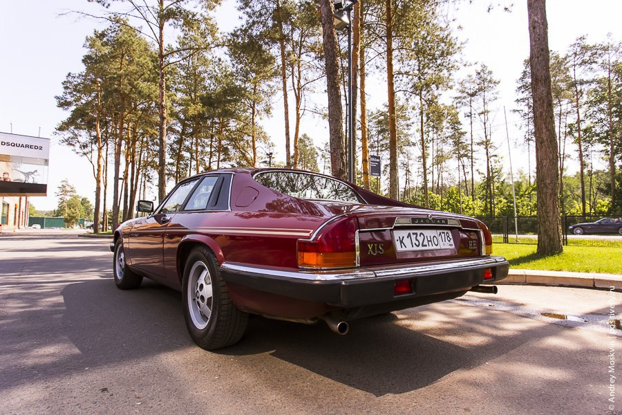 Jaguar XJS HE, 1983. : 260 /  100 /: 7.5  : ... - 5