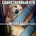 ���� ������, ������, 30 ��� - ��������� 29 ����� 2015 � ������ ������ ��������