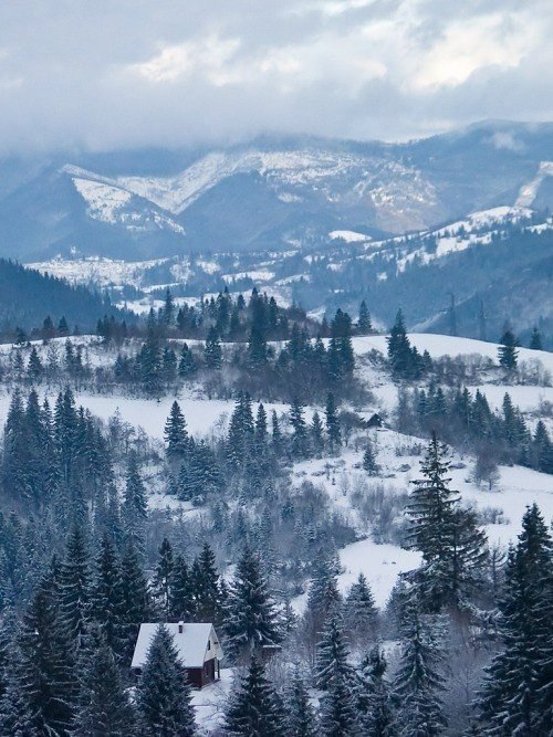  .#nature@travel.blog - 3