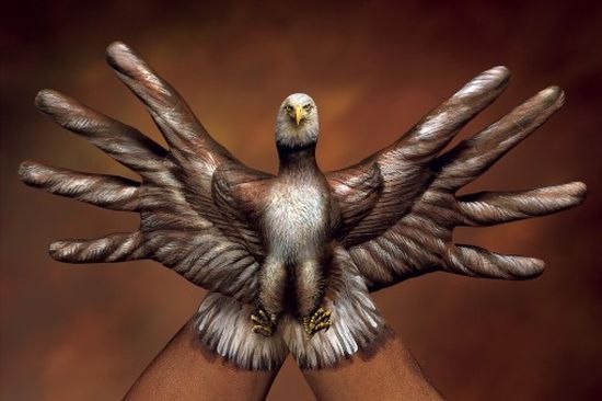   .    (Guido Daniele)   ... - 2