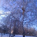 ���� Andreis77( ����� ), �������, 62 ���� - ��������� 1 ����� 2015 � ������ ���� ����������