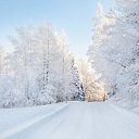 ���� �����, �������, 47 ��� - ��������� 23 ����� 2015 � ������ ������ ��������