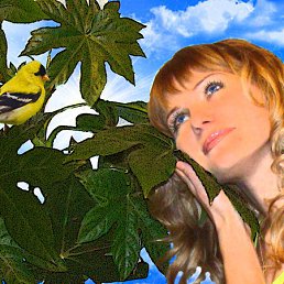 ������, ��������, 42 ����