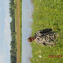 ���� �������, ���, 48 ��� - ��������� 20 ������ 2015 � ������ ���� ����������