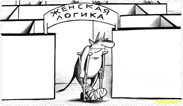 В женской логике есть что-то убийственное по отношению к здравому смыслу.