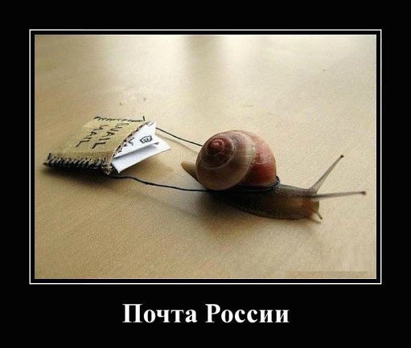 Ivan Karataev - 27  2015  00:55