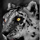 ���� �������, ���������, 34 ���� - ��������� 6 ������� 2015 � ������ ���� ����������