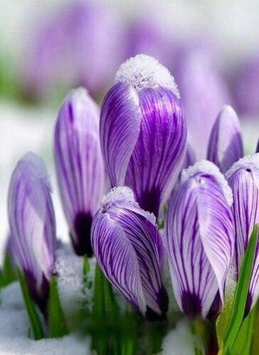 , ,  - 10  2015  12:46 - 6