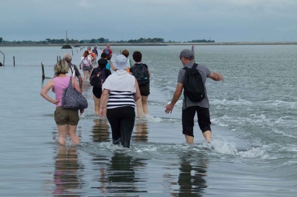 ,      .   (Passage du Gois) -  ,  ... - 7