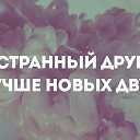  ,  -  11  2015    