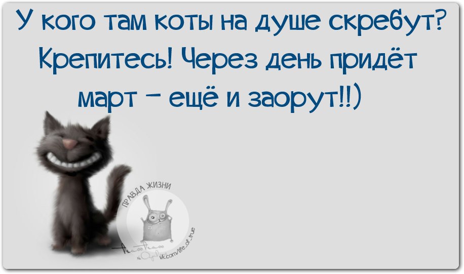 Кошки на душе скребут