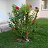 ���� Sergej, ������ - ��������� 22 ������ 2015