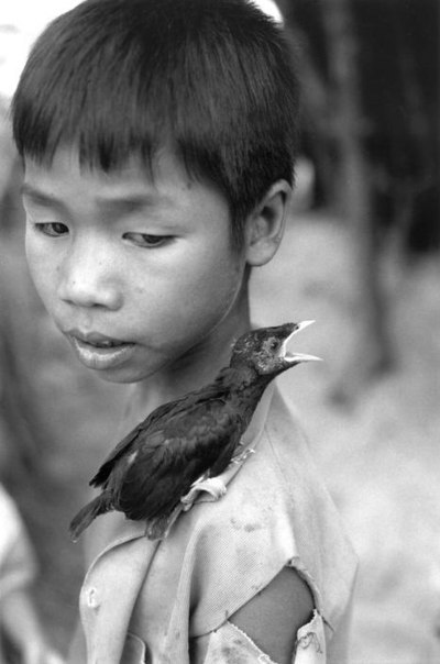 Ferdinando Scianna........."       ,  ... - 7