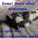 ���� �����, �����-���������, 57 ��� - ��������� 5 ������ 2015 � ������ ������ ��������