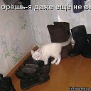 ���� ���������, �������, 54 ���� - ��������� 17 ������ 2015 � ������ ���� ���� ��������ӻ