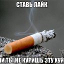  ,  -  10  2015   .