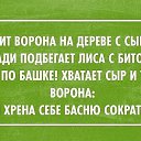 ���� �����, ������ - ��������� 7 ������ 2015 � ������ ������ ��������