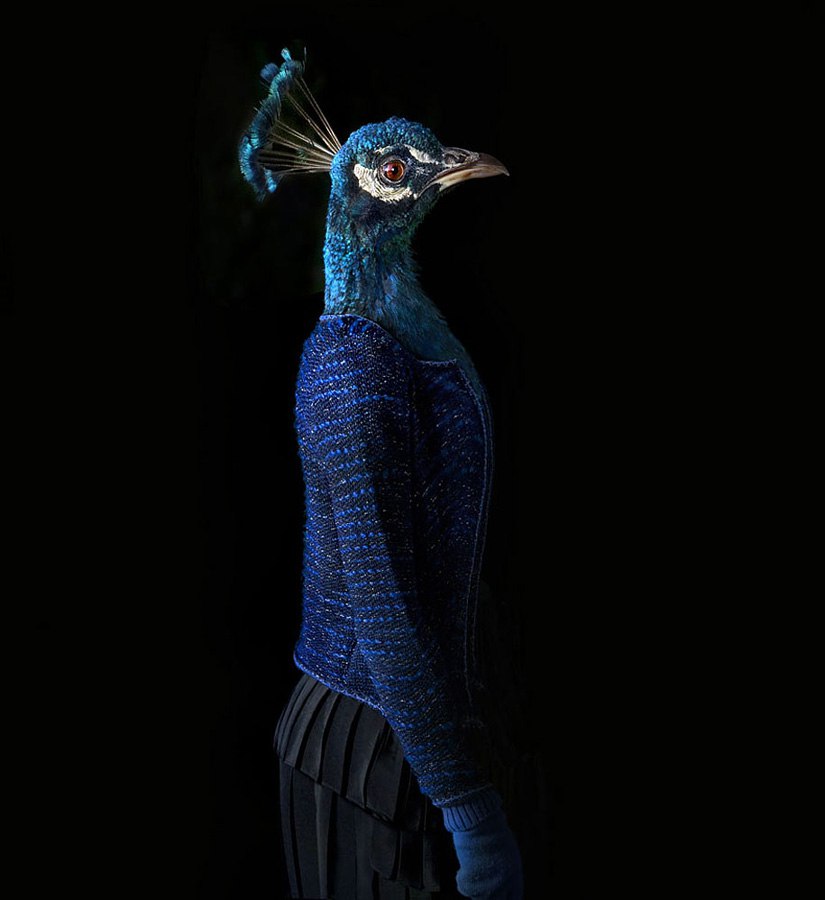     .     (Miguel Vallinas)  ... - 2