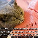 ���� �����, ��������, 59 ��� - ��������� 3 ������� 2015 � ������ ������ ��������