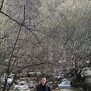 ���� ������, ������, 36 ��� - ��������� 15 ������ 2015 � ������ ���� ����������