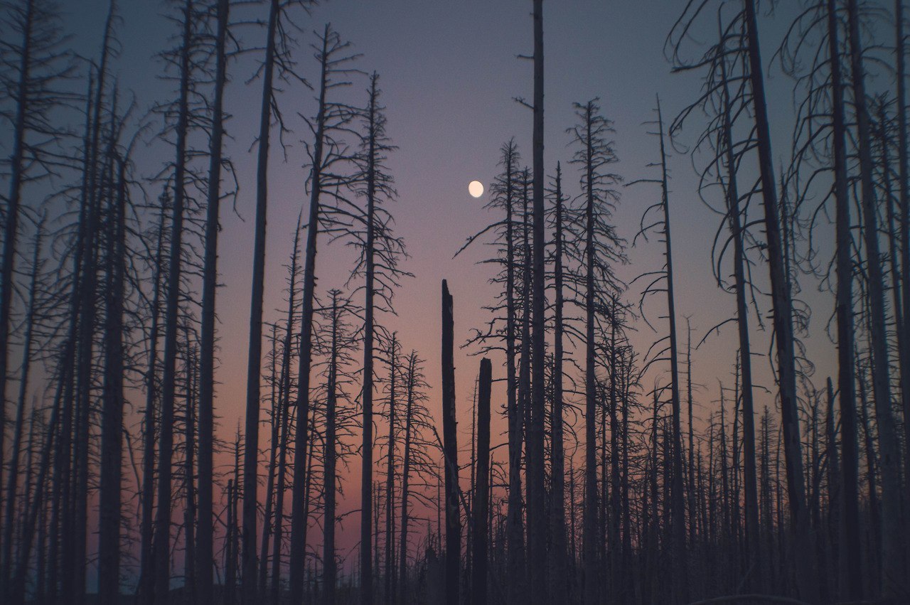 Oregon