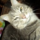 ���� �����, �������, 26 ��� - ��������� 19 ������� 2014 � ������ ���� ����������