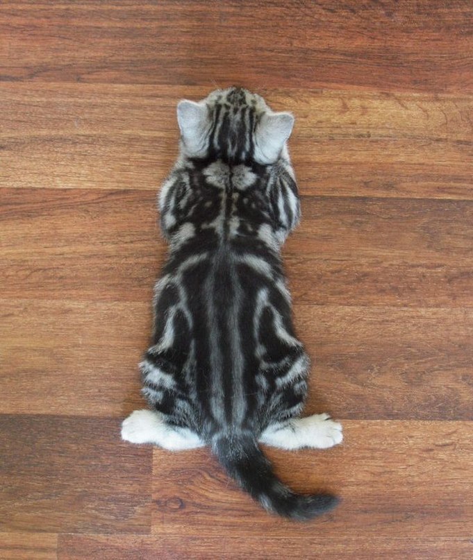   :3