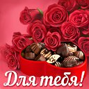 ���� ������, ������, 51 ��� - ��������� 18 ����� 2015 � ������ �������� ��������