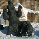 ���� ����, ���������, 44 ���� - ��������� 26 ����� 2015 � ������ ���� ����������