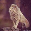 ���� ����l�, ������ - ��������� 16 ������� 2014 � ������ ������ ��������