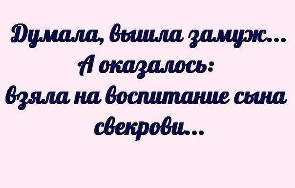 Ну я воспитанная. Афоризмы про свекровь. Высказывания о свекрови. Цитаты про мужа и свекровь. Цитаты про свекровь.