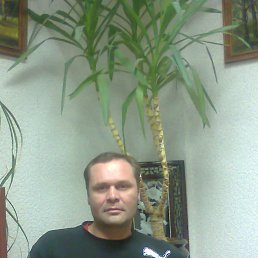 , 46, 