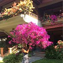���� Iullia, �����������, 46 ��� - ��������� 26 ������ 2015 � ������ ���� ����������