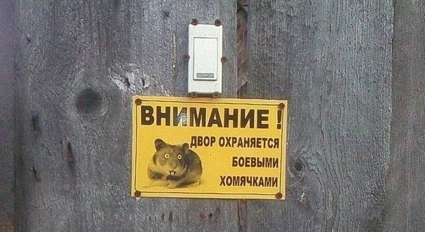 �������� ������ � ������ - 4 ������� 2015 � 05:20