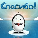 ���� �����, ���������, 65 ��� - ��������� 5 ����� 2015 � ������ �������� ��������