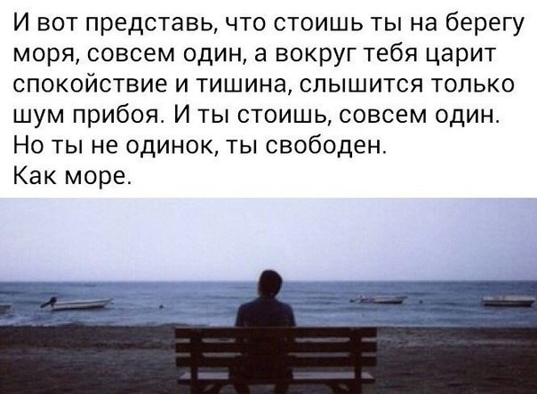 Зебра™ - 25 марта 2015 в 20:03