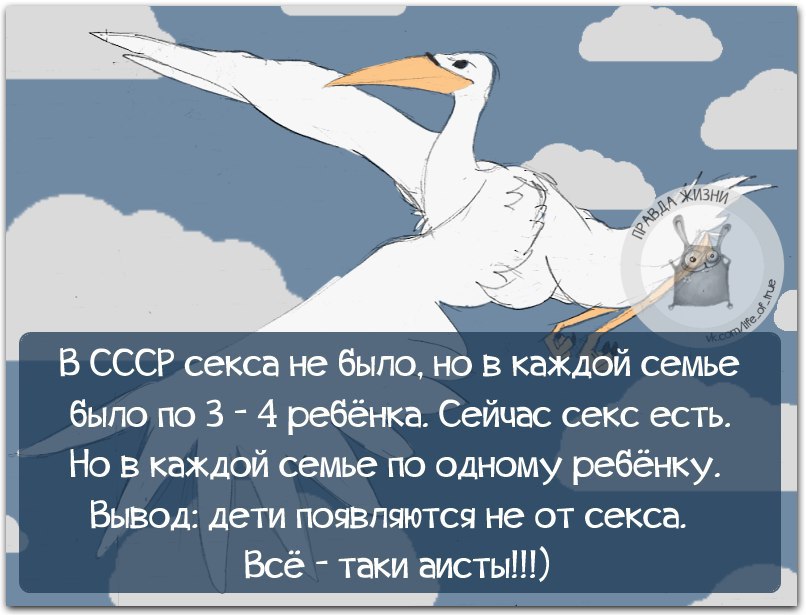 Переспим сегодня. Приколы про аистов. Шутки про аиста. Анекдот про аиста. Юмор про аистов.