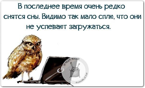   - 8  2015  13:44